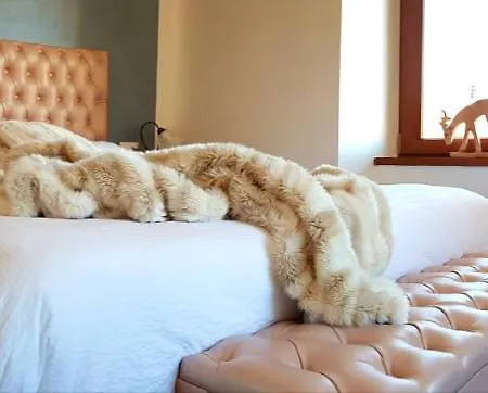 Hotel Ciardi Wellness & Ristorante 3*