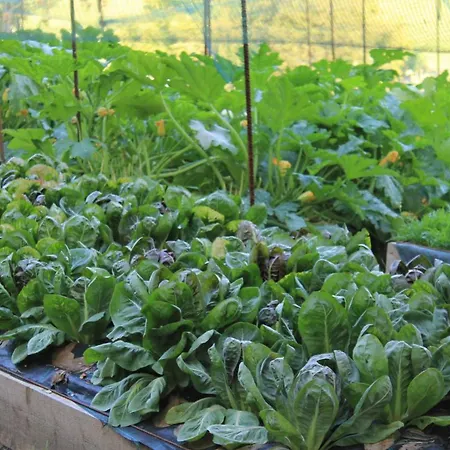 Hotel Ciardi Wellness & Ristorante Asiago