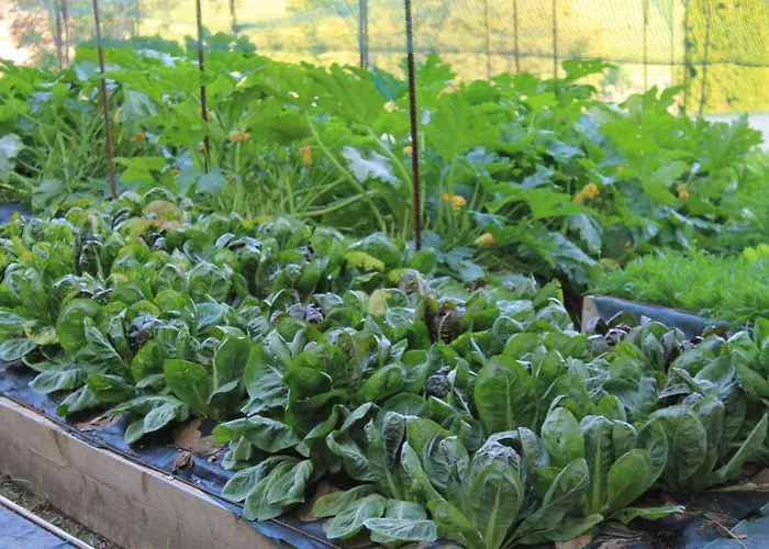 Hotel Ciardi Wellness & Ristorante Asiago