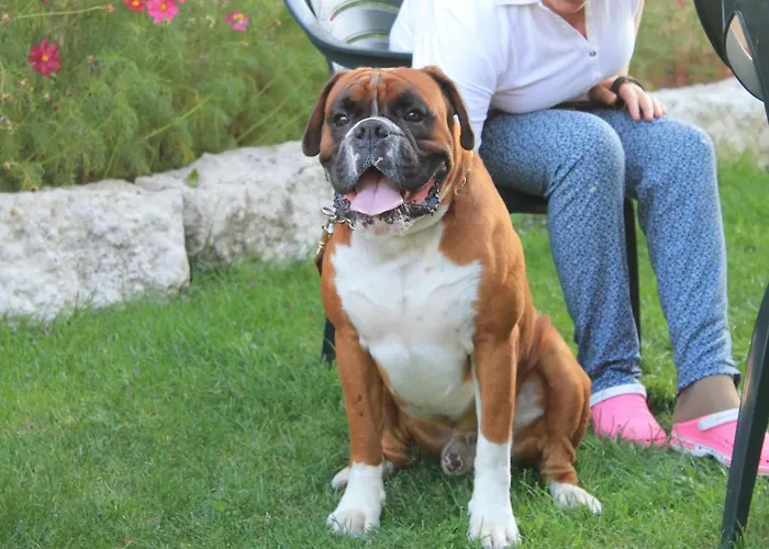 Ciardi Wellness & Ristorante Asiago